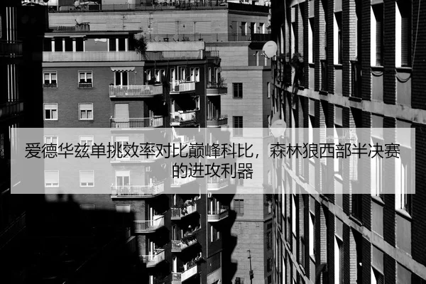 爱德华兹单挑效率对比巅峰科比，森林狼西部半决赛的进攻利器