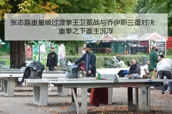 张志磊重量级过渡拳王卫冕战与乔伊斯三番对决：重拳之下谁主沉浮